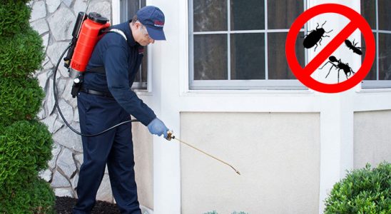 Gaziosmanpaşa Tahtakurusu İlaçlama böcek ilaçlama ve haşere kontrolü — ilaclama-tr.com